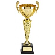 GOLD PRESENTATION CUP 4 SIZES FREE ENGRAVING 428 SIEN 