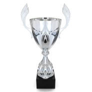 Silver Cup Trophy with Handles