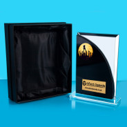 Winner Black/Mirrored Glass Plaque