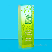 Chroma Designer Leaf Crystal Column Award