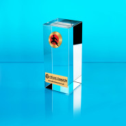 Martial Arts Glass Cube Award