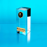 Netball Glass Cube Award