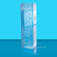 Chroma Designer Bespoke Crystal Column Award - Print 2 Sides