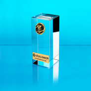 Triathlon Glass Cube Award