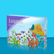 Colour Printed horizontal Acrylic Award
