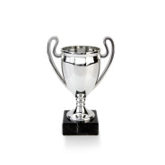 Full 3D Plastic Silver Cup on Black Marble Base