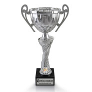 Art Silver Cup with Handles on Marble Base