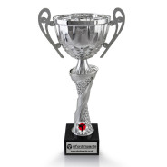 Taekwondo Silver Cup with Handles on Marble Base