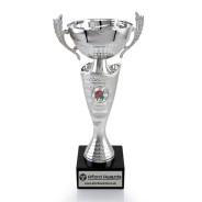 Judo Silver Cup with Handles on Marble Base