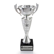 Multi Star Silver Cup with Handles on Marble Base