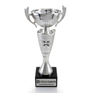 Snowboarding Silver Cup with Handles on Marble Base