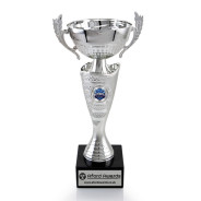 Water Polo Silver Cup with Handles on Marble Base