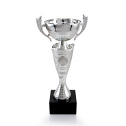 Silver Cup with Handles on Black Base