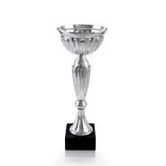 Silver Cup on Black Marble Base