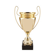 Large Gold Presentation Cup on Heavy Marble Base