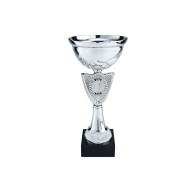 Silver 'V' Cup on Marble Base