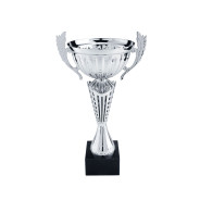 Silver Cup with Handles on Black Marble Base