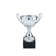 Silver Cup with Handles on Large Black Marble Base