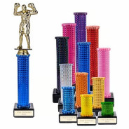 Icon Holographic Boxer Column Trophy