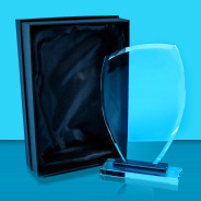 Clear Glass Award with Black Tinted Base
