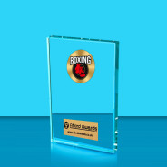Boxing Crystal Rectangle Award