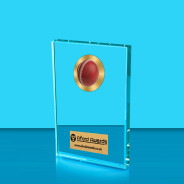 Cricket Crystal Rectangle Award