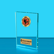 Karate Crystal Rectangle Award