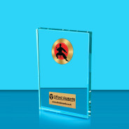 Martial Arts Crystal Rectangle Award