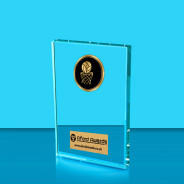 Netball Crystal Rectangle Award