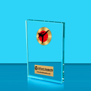 Taekwondo Crystal Rectangle Award