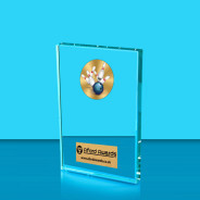 Ten Pin Bowling Crystal Rectangle Award