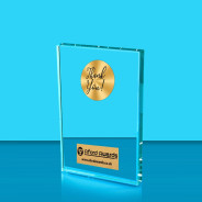 Thank you Crystal Rectangle Award