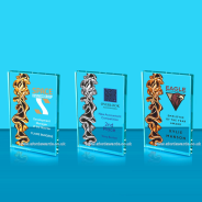 Sigma Metallic Frill Glass Award