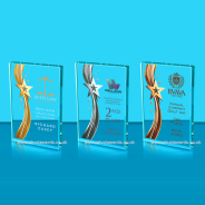 Sigma Star Performer Glass Award