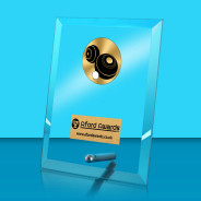 Bowls Glass Rectangle Award with Metal Pin