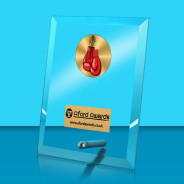 Boxing Glass Rectangle Award with Metal Pin