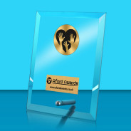 Charity Glass Rectangle Award with Metal Pin