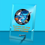 Colour Printed Crystal Rectangle Corporate Award with Metal Pin