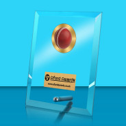 Cricket Glass Rectangle Award with Metal Pin