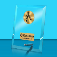 Cricket Glass Rectangle Award with Metal Pin