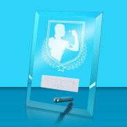 UV Colour Printed Darts Glass Rectangle Award with Metal Pin