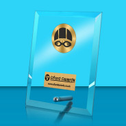 Diving Glass Rectangle Award with Metal Pin