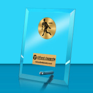 Frisbee Glass Rectangle Award with Metal Pin