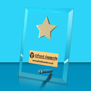 Glass Rectangle Award and Pin with Star