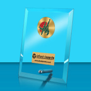 Judo Glass Rectangle Award with Metal Pin