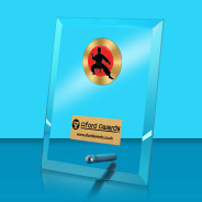 Martial Arts Glass Rectangle Award with Metal Pin