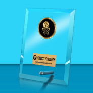 Netball Glass Rectangle Award with Metal Pin