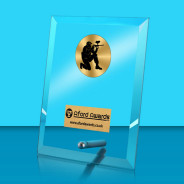 Paintball Glass Rectangle Award with Metal Pin