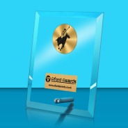 Polo Glass Rectangle Award with Metal Pin