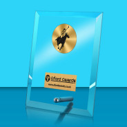 Polo Glass Rectangle Award with Metal Pin